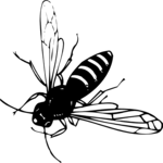 Bee 02 Clip Art