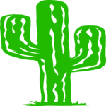 Cactus 24