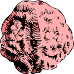 Coral 02 Clip Art