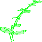Plant 071 Clip Art