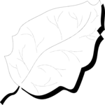 Leaf 055 Clip Art