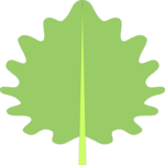 Leaf 006 Clip Art