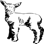 Sheep Clip Art