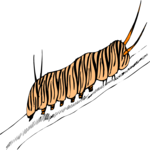 Caterpillar 9 Clip Art