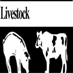 Livestock Clip Art