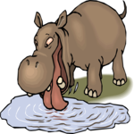 Hippo Drinking Clip Art