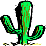 Cactus 70