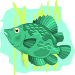 Cichlid - Uaru Clip Art