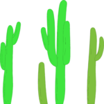 Cacti