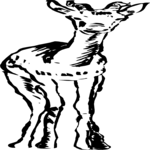 Antelope 17