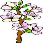 Apricot Flowers 2 Clip Art