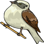 Finch 03 Clip Art