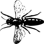 Flying Insect 03 Clip Art
