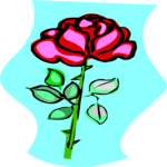 Rose 60 Clip Art