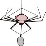 Spider 09 Clip Art