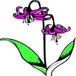 Easter Lily 3 Clip Art