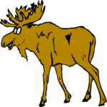 Moose 3 Clip Art