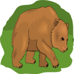 Bear 21 Clip Art