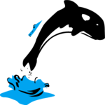 Whale 15 Clip Art