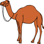 Camel 11 Clip Art