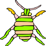 Bug 063