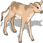 Calf 4 Clip Art