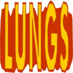 Lungs - Title