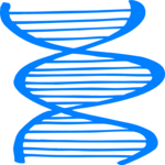 Biology - DNA Strand 2