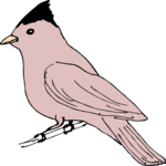 Bird Perched 19 Clip Art