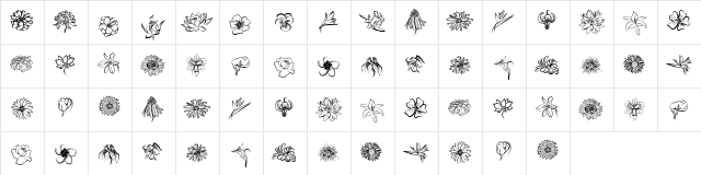 CK Perfect Petals Regular  glyph index