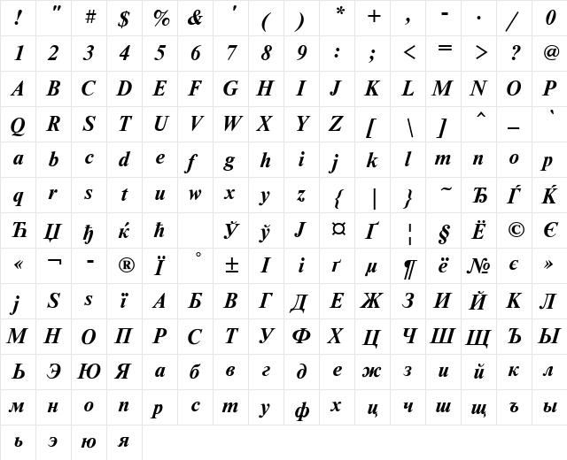 NewtonWINCTT BoldItalic  glyph index