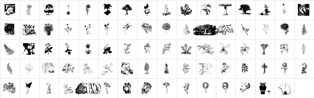 Botanicals Regular  glyph index