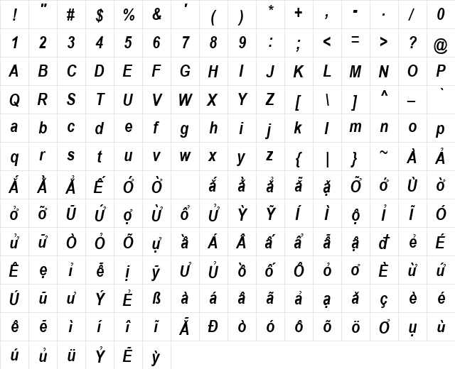 VPS Pleiku Bold Italic  glyph index