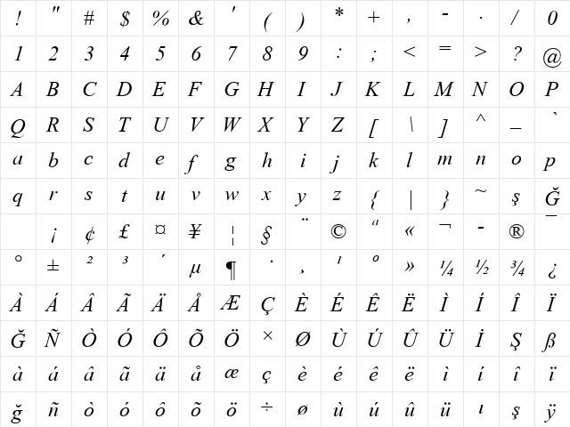 Times2 New Roman Italic Turkce  glyph index