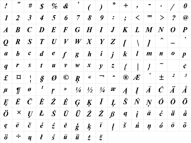 NewtonBTT BoldItalic  glyph index