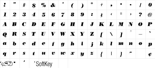 NecBlack Italic Regular  glyph index