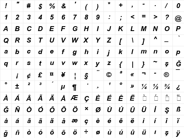 Arial2 Bold Italic Turkce  glyph index