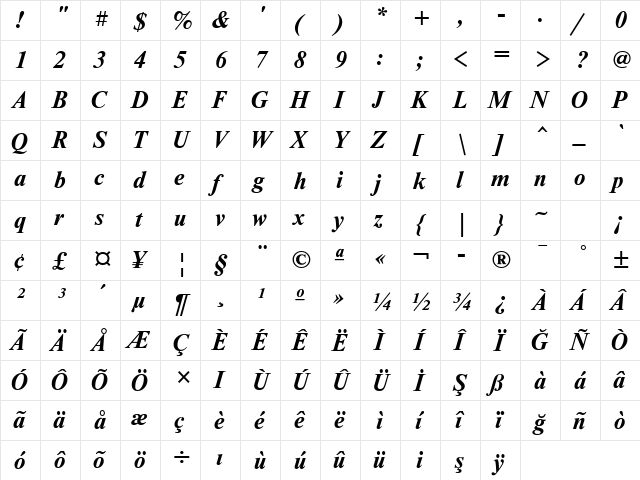 NewtonTTT BoldItalic  glyph index