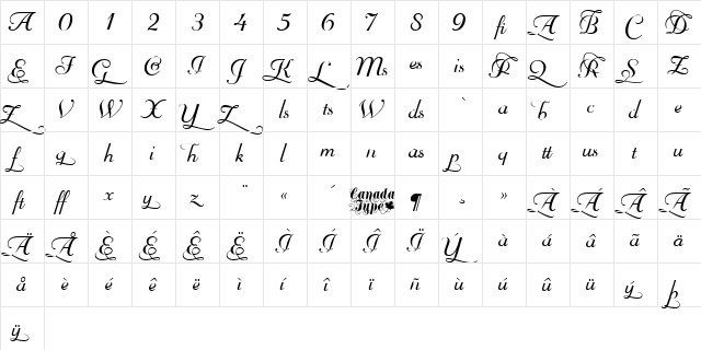 Mayfair Alt Regular  glyph index