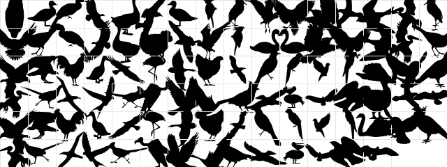 Birds of a Feather Regular  glyph index