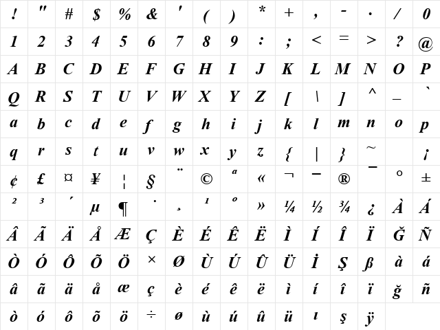 TR Times New Roman Bold Italic  glyph index
