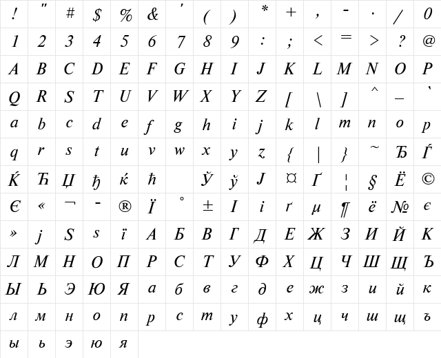 NewtonCTT Italic  glyph index