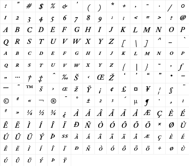 DTLElzevirTCaps BoldItalic  glyph index