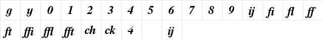 Times Profi Bold Italic  glyph index