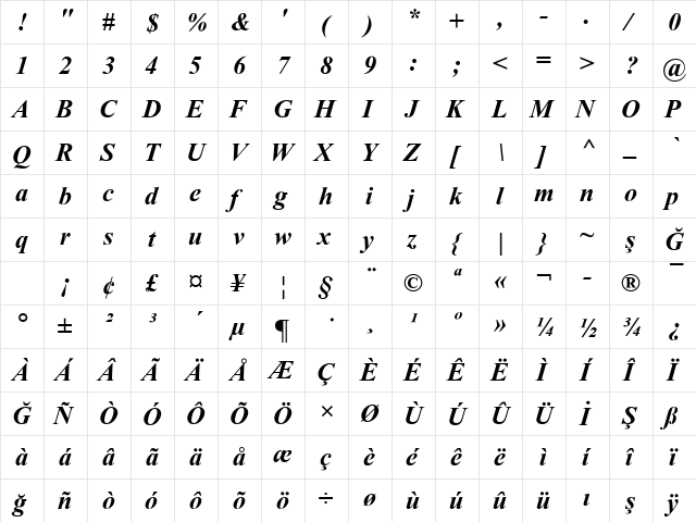 Times2 New Roman Bold Italic Turkce  glyph index