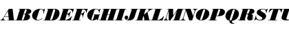 Download BodoniDBla Italic Font Uppercase Preview
