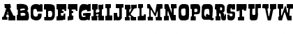 Download Bogusflow Regular Font Uppercase Preview
