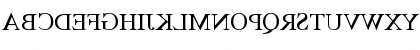 Download TimesMirror Regular Font