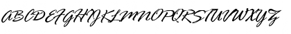 Download BrauerScriptRevised Regular Font Uppercase Preview
