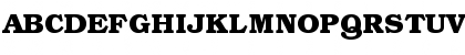 Download ITC Bookman Bold Font Uppercase Preview